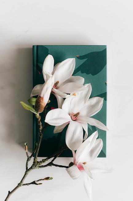 waarom-financieel-planner0